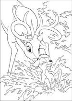 coloring page Bambi 2